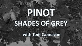 The Pinot family of grapes explained