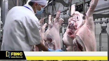 FBNC - TPHCM : TỶ LỆ THỊT HEO CÓ TRUY XUẤT NGUỒN GỐC CÓ DẤU HIỆU CHỮNG LẠI