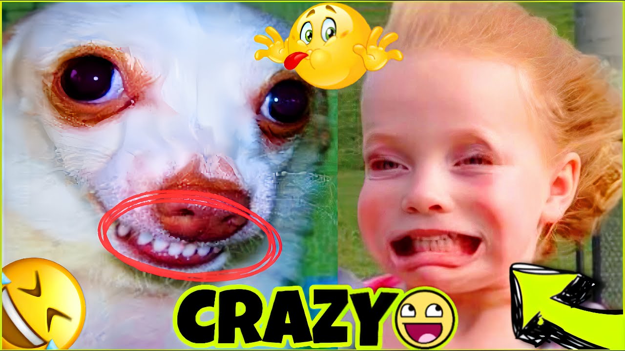 New Funny Video😂। Trending Funny Video🤣। New Instagram Funny Video😃। New Comedy Video😁। Viral Video😂