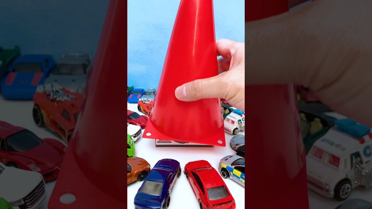 Happy Birthday Tomica💥