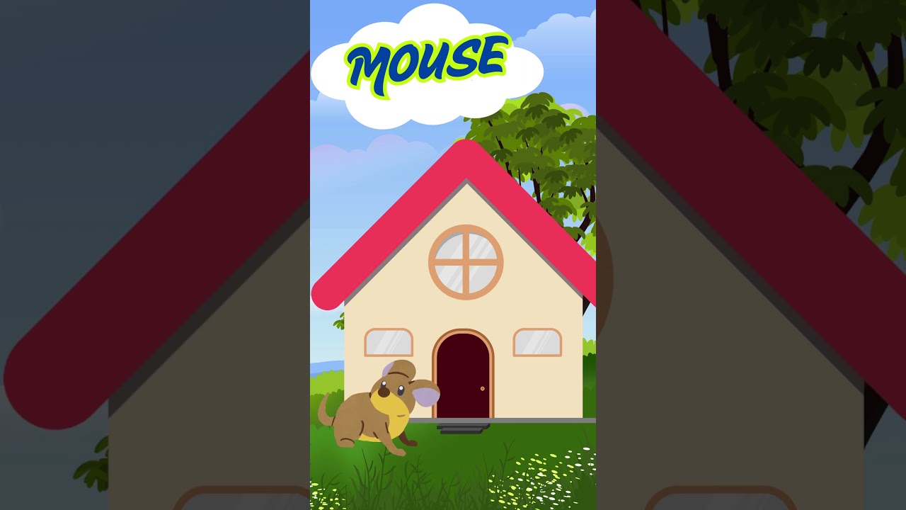 Pet Animals for Kids 🐶🐱 | Learn Animal Names | 