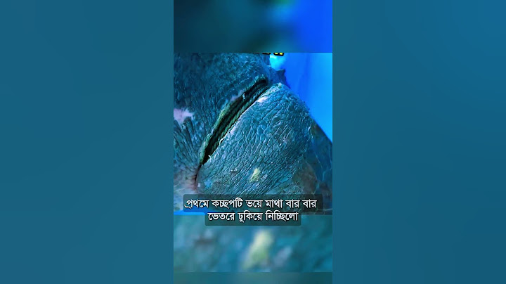 সমুদ্রের মাঝখানে এ ঘটনা না দেখলে বিশ্বাস করা অসম্ভব!🤯😳| #bangladesh  #fypシ゚viral #viralvideo  #sea