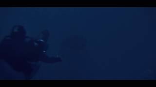 3D Maya Underwater Shark