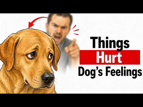 7 Things Hurt Your Dog's Feelings and You Don't Know Why