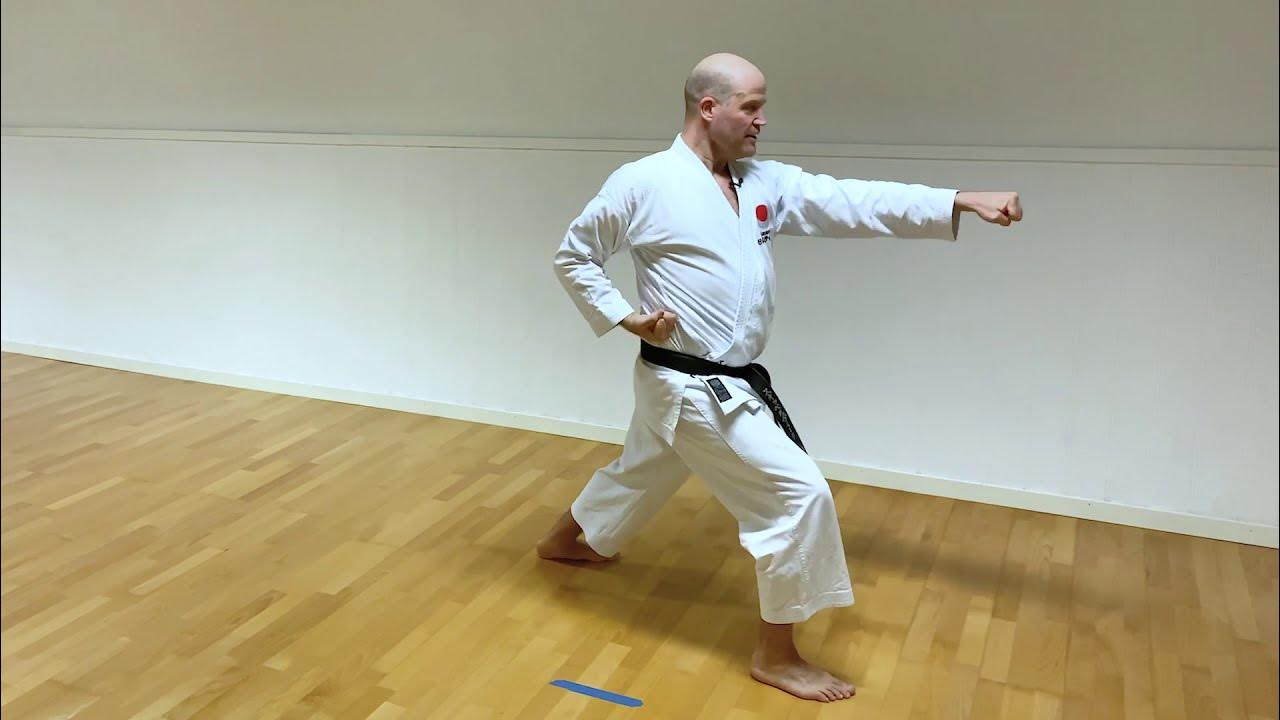 Dik mushukning ichiga chuqur kirib boradi Dik mushukning ichiga chuqur kirib boradi