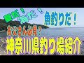 夏だ！海だ！魚釣りだ！お父さん必見？「神奈川県釣り場紹介」in2017年 夏版