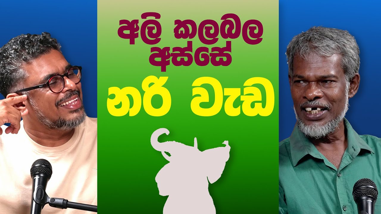 Gune Aiyage Kamare - Vlog Ep 322 - අලි කලබල අස්සේ නරි වැඩ
