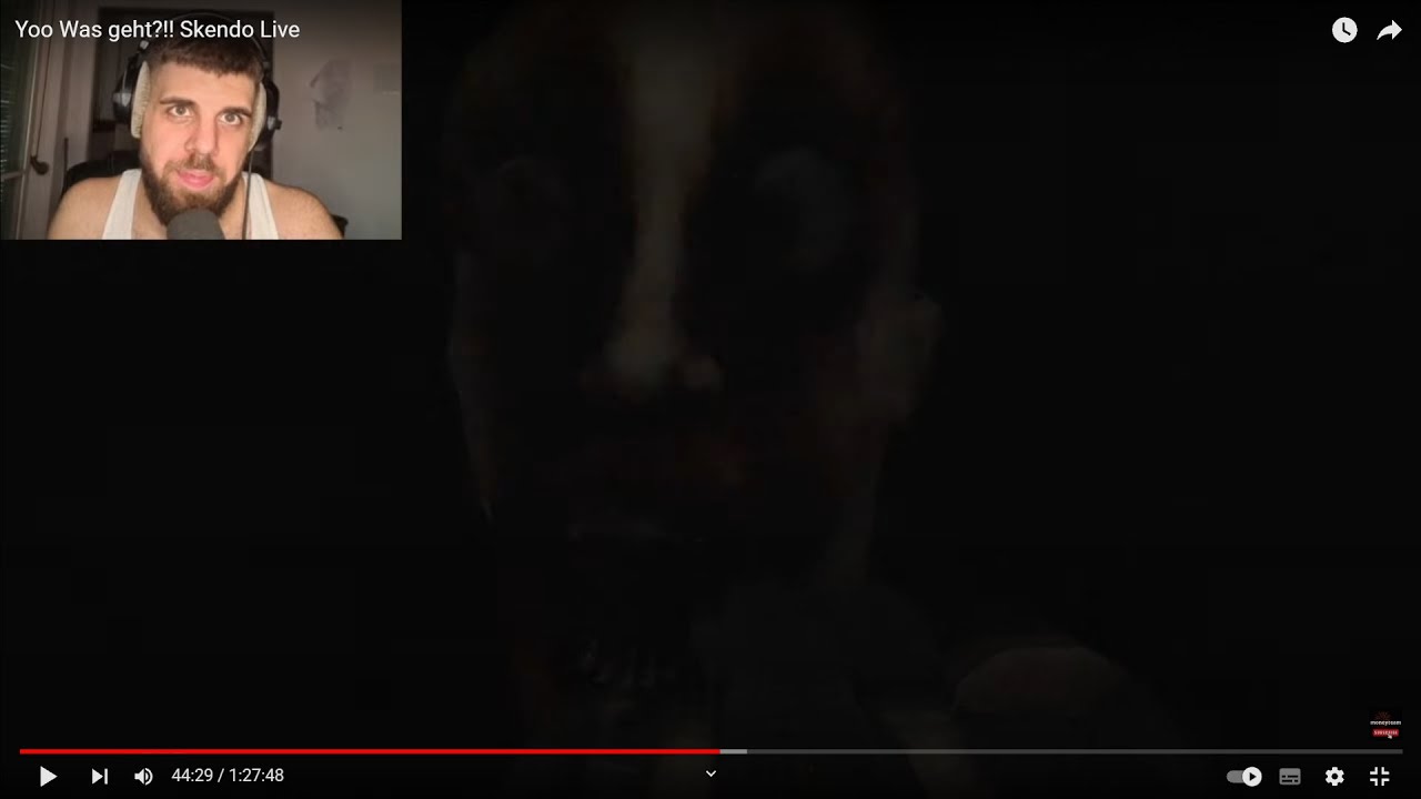 Yoo Was geht?!! Skendo LIVE! Cry Of Fear macht mich Ende!! - YouTube