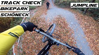 TrackCheck | Jumpline Bikepark Schöneck 2021 | RAW | Leon Kästner DH