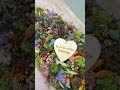 Moderner Trauerschmuck mit Sukkulenten 🌿 liebevolle Grabdeko für Gedenktage &amp; Trauerfeier