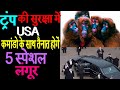 Prior to Donald Trump’s Taj Mahal visit in Agra, 5 langurs deployed