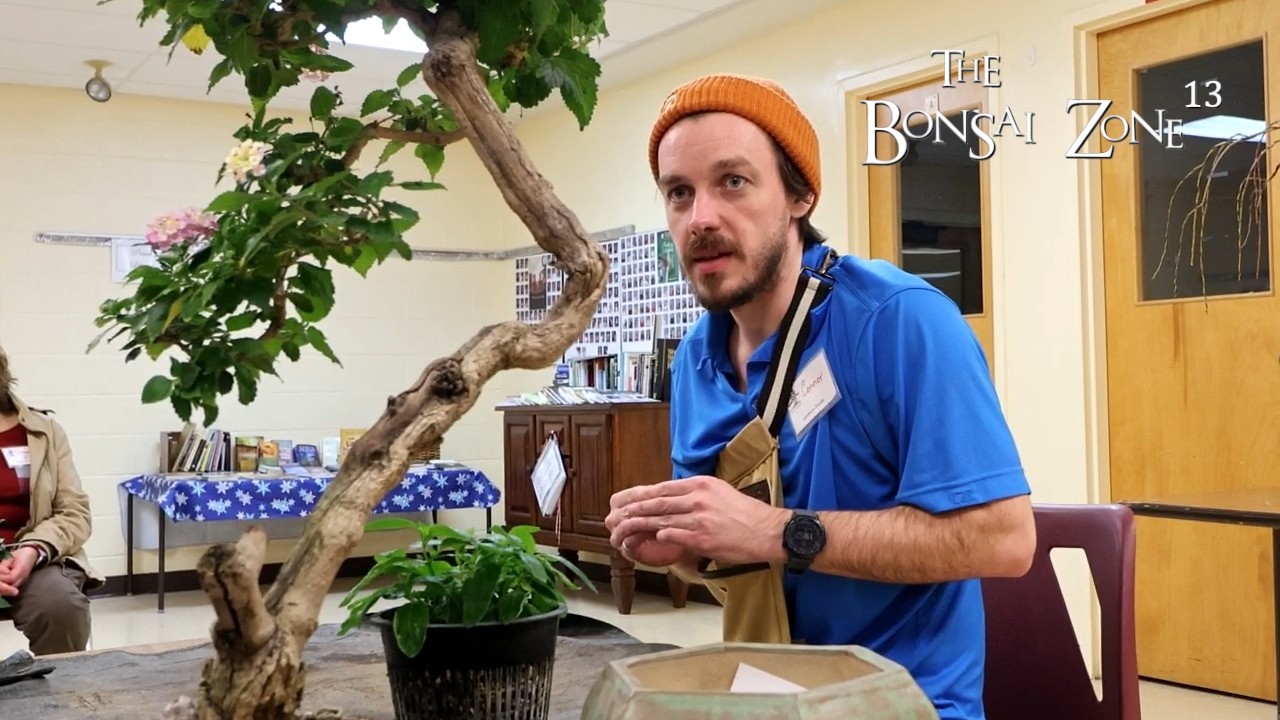 Connor's Lantana Demonstration, The Bonsai Zone, Feb 2026