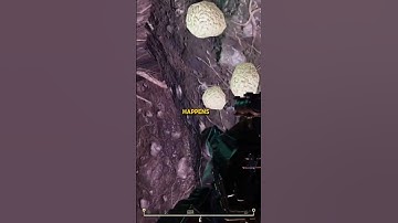 Fallout 76 insult bot #falloutgame