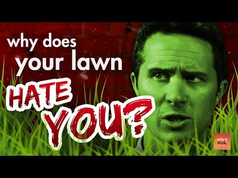 잔디밭이 당신을 싫어하는 이유는 무엇입니까?