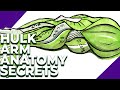 Hulk Arm Anatomy Secrets – How to Draw Muscles Step by Step