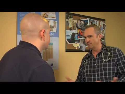 puppy paradise The Importance of Annual Veterinary Visits and Preventive Screenings for Your Pet