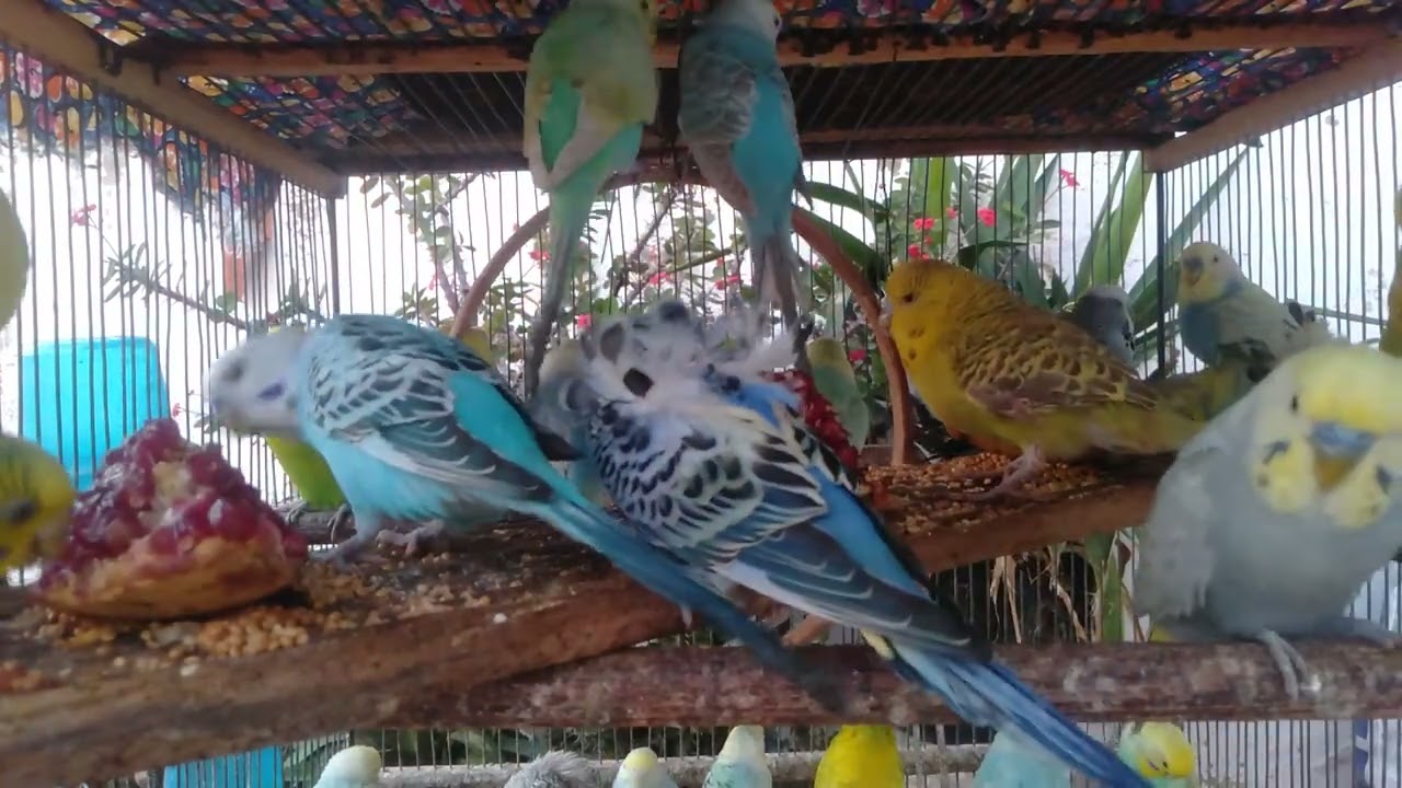 💡 So machst du Alltagsobjekte zu Welli Spielzeug 