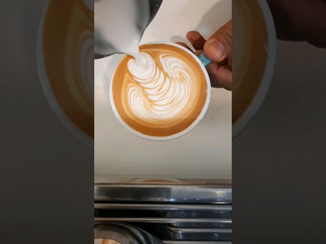 Latte art for beginners #latteart #rosetta #shortvideo class=