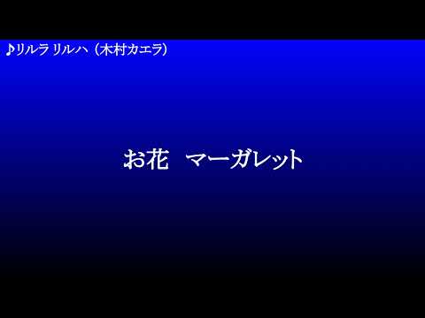 リルラ リルハ ／ 木村カエラ