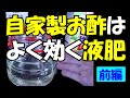 【液肥】自家製お酢は、よく効く液肥（前編）【家庭菜園、ガーデニング、園芸】