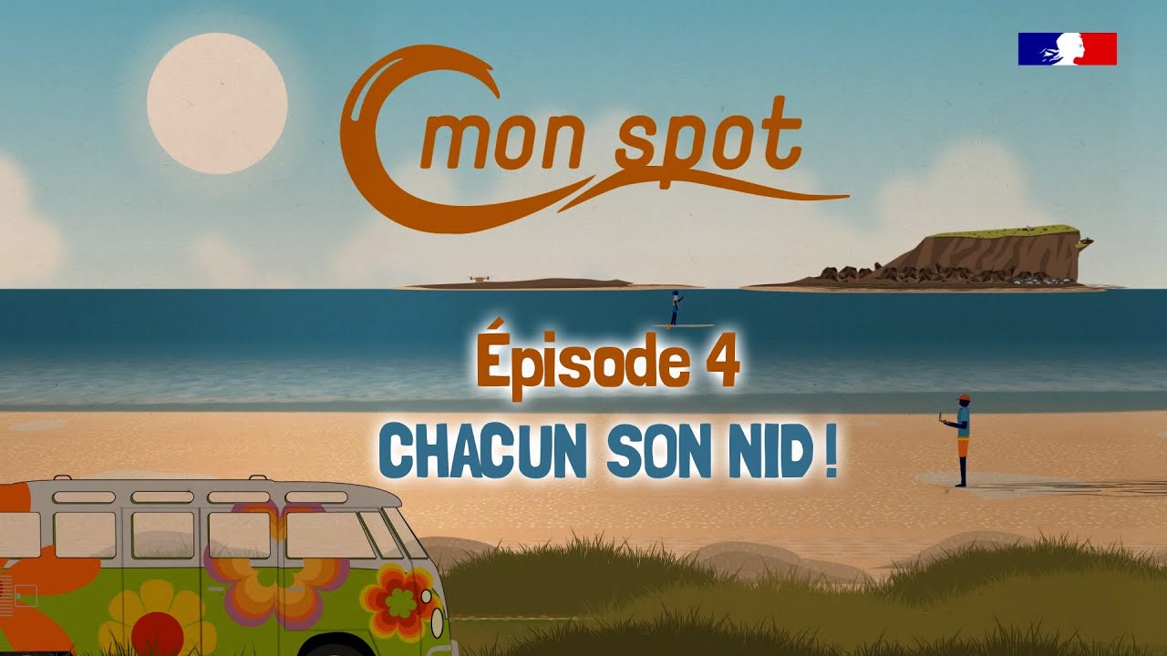 C-mon spot : chacun son nid ! Évitons le dérangement des oiseaux marins