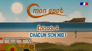 C-mon spot : chacun son nid ! Évitons le dérangement des oiseaux marins