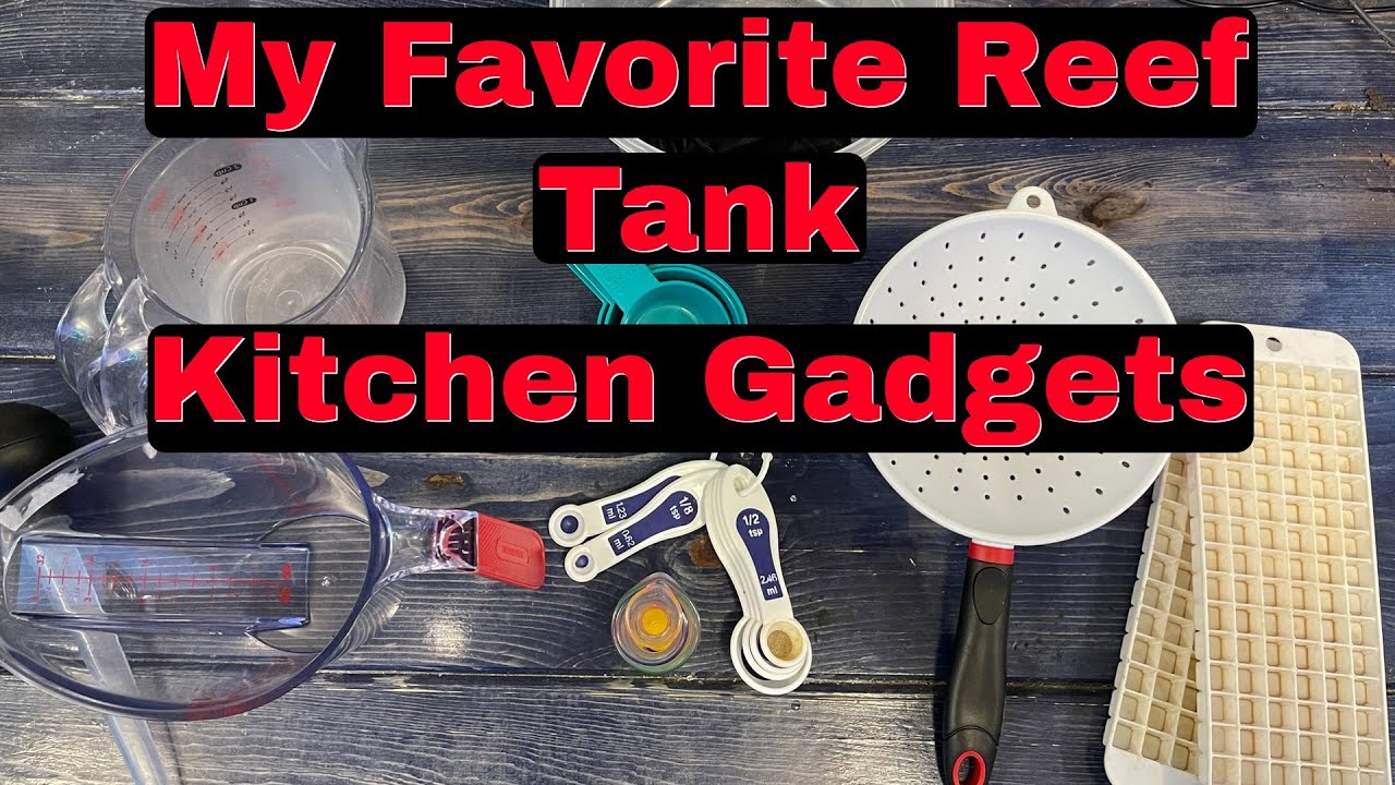 Reef Tank Aquarium Tools ( Our Favorite Kitchen Gadgets That We Use For ...