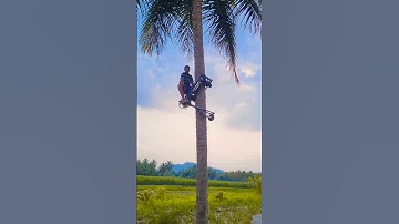 𝗰𝗼𝗰𝗼𝗻𝘂𝘁 𝘁𝗿𝗲𝗲 𝗰𝗹𝗶𝗺𝗯𝗶𝗻𝗴 𝗺𝗮𝗰𝗵𝗶𝗻𝗲 #coconut #climbing #machine #agriculture #village