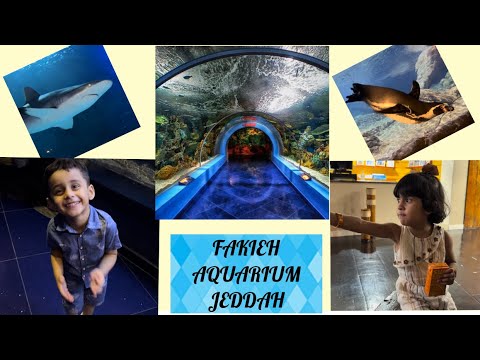 FAKIEH AQUARIUM JEDDAH //Kids learning and exploring different kinds of sea animals //