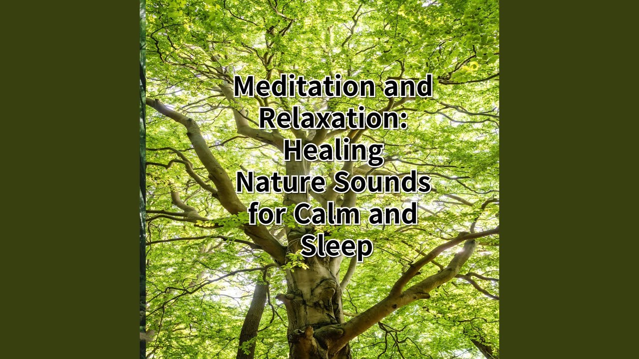 Meditative Tranquility Journey