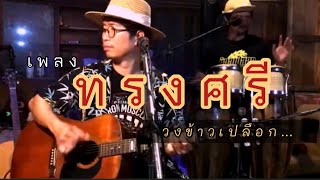 ทรงศรี วงข้าวเปลือก ลูกทุ่งโฟล์คซอง