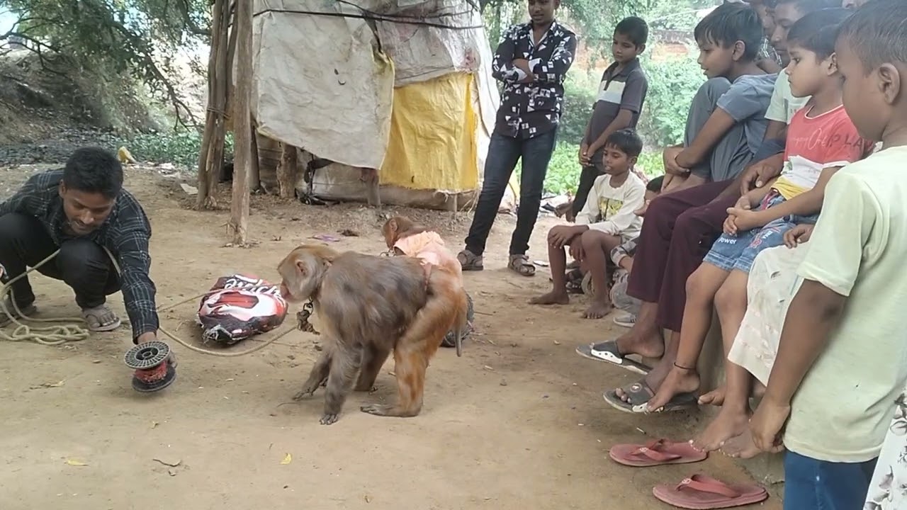 Madam kahan se tumhari Khush honge Bajrang Baba