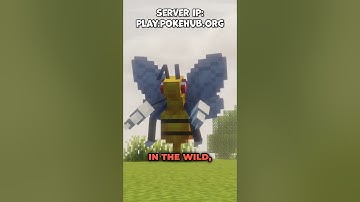 Greatest Server of 2025! #minecraft