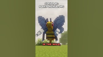 Greatest Server of 2025! #minecraft