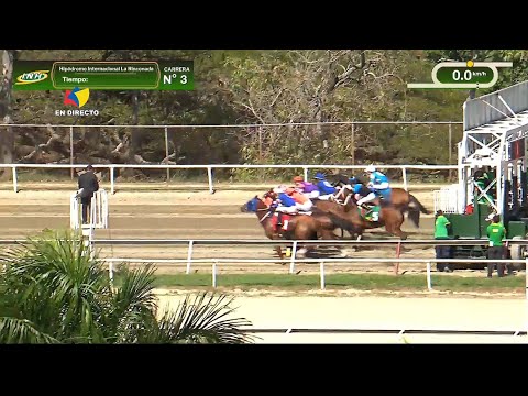 3rd Race | CARAMEL LOVE | La Rinconada Racetrack | Meeting 02 | 2026