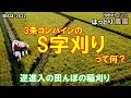 S字刈り 逆進入の稲刈り方法 田んぼ・2022 20220905 クボタ・ER323