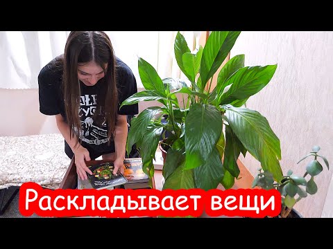VLOG Кате привезли комод