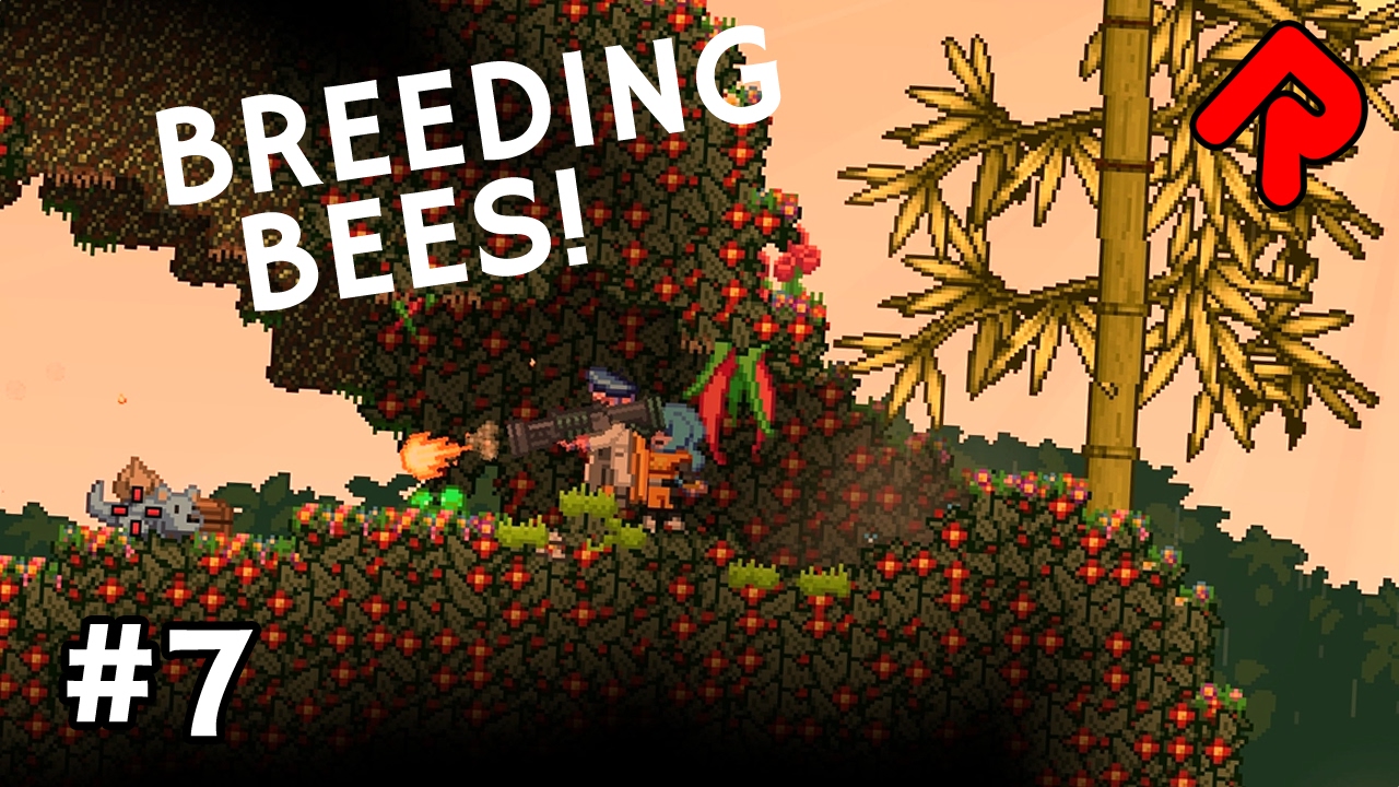 can i run it starbound can i run it starbound