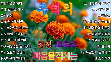 7080 추억의 감성트로트 🌇 마음속 깊이 남은 사랑과 이별의 멜로디