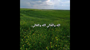الله والغالي الله والغالي 