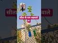 सीता के राम रखवाले थे फिर भी हरण के समय कोई नहीं #motivationalquotes #tranding #viral #shortsfeed