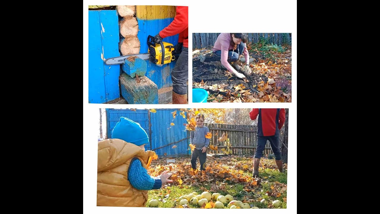 Дом в деревне. Как храним свои яблоки на зиму. Один осенний день из ...