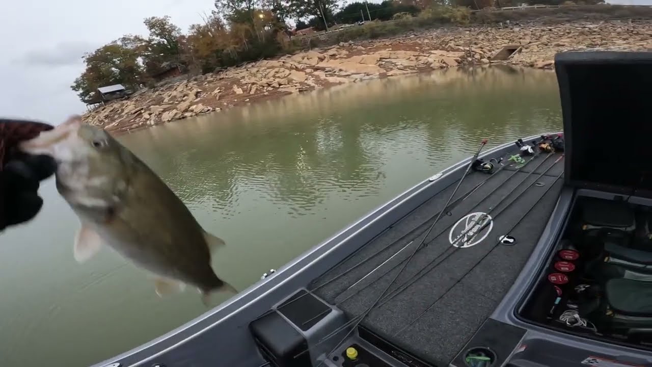 Bill Dance Signature Lakes Giant Bass Open, озеро Дуглас, 1 и 2 ноября 2025 г.