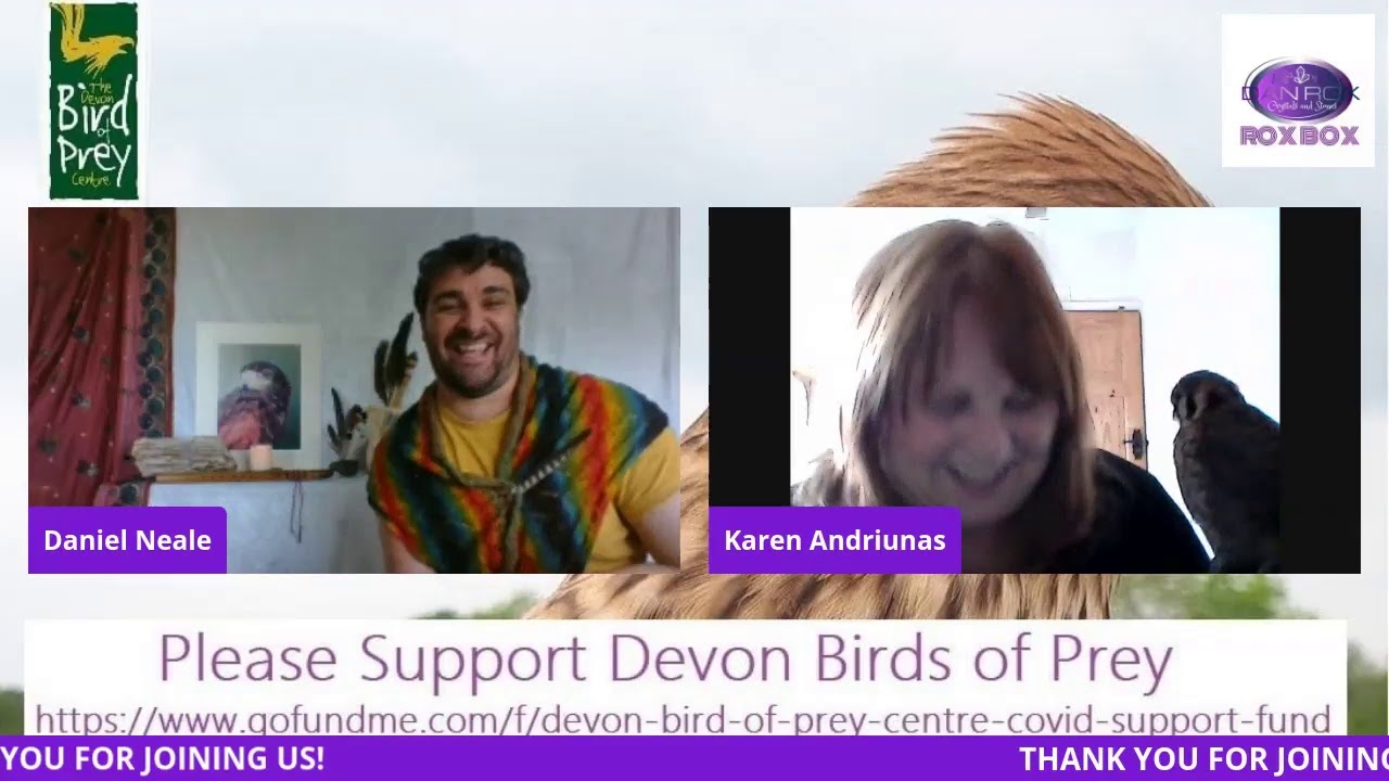 Dan Rox - Rox Box: LIVE with Karen Andriunas - Devon Bird of Prey