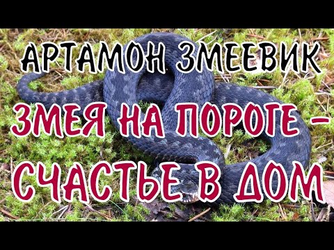 25 сентября-Артамон Змеевик:Что нельзя делать/Приметы и обычаи/Народный календарь/Обычаи и ритуалы