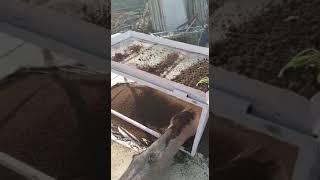Vermi Compost Filter Machine ⚙️⚙️#shorts