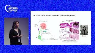 Amanda Lund Information