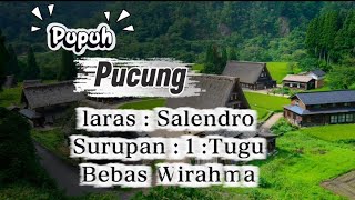 PUPUH PUCUNg - LIRIK