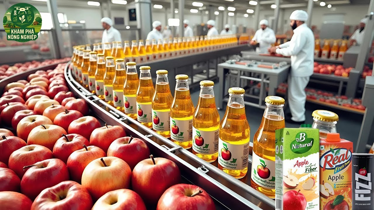 Bên Trong Nhà Máy Nước Ép Táo – Cách Họ Biến Hàng Tấn Táo Thành Hàng Trăm Triệu Lít Nước Ép!