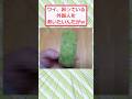ワイ、困っている外国人を救いたいんだがww #2ch面白いスレ #2ch #5ch #shorts